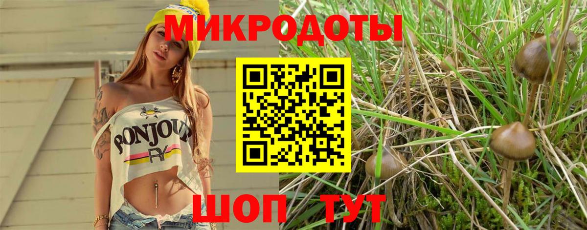 Галлюциногенные грибы MAGIC MUSHROOMS  Вход с VPN  Зеленогорск 
