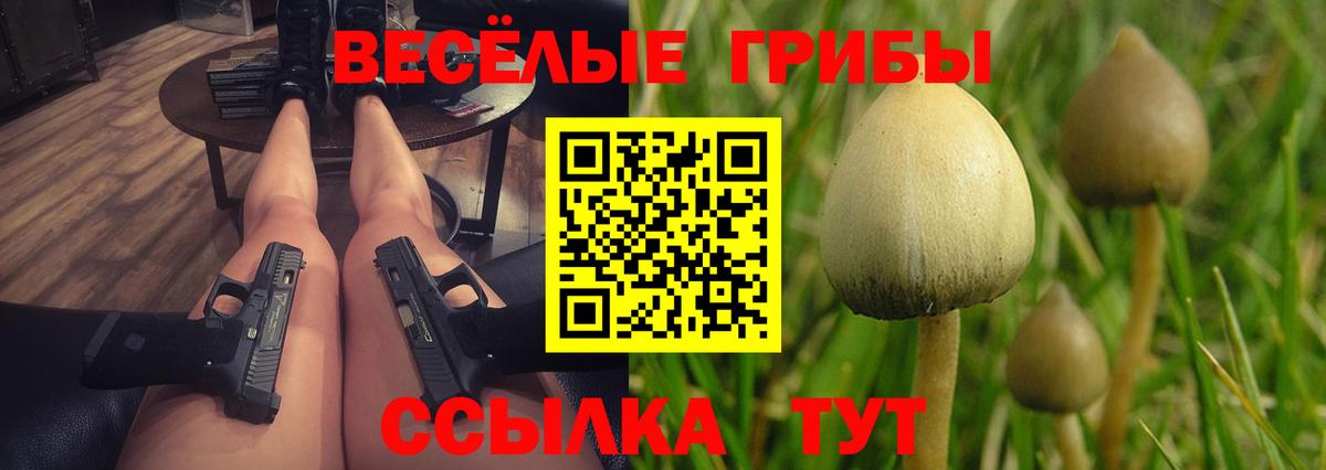 Галлюциногенные грибы Psilocybe Зеленогорск